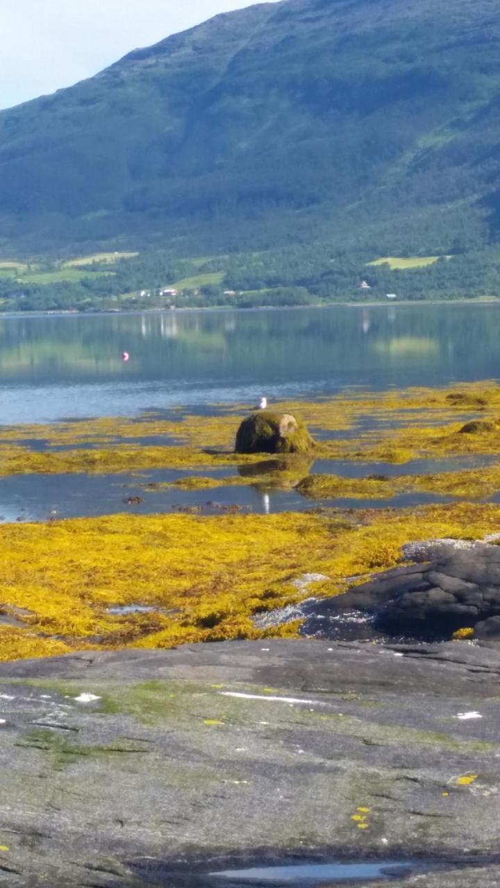 Отель Sandnes Fjord Camping Hytte 3 Valanhamn Экстерьер фото